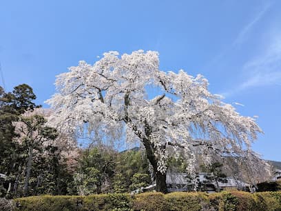 薬樹院